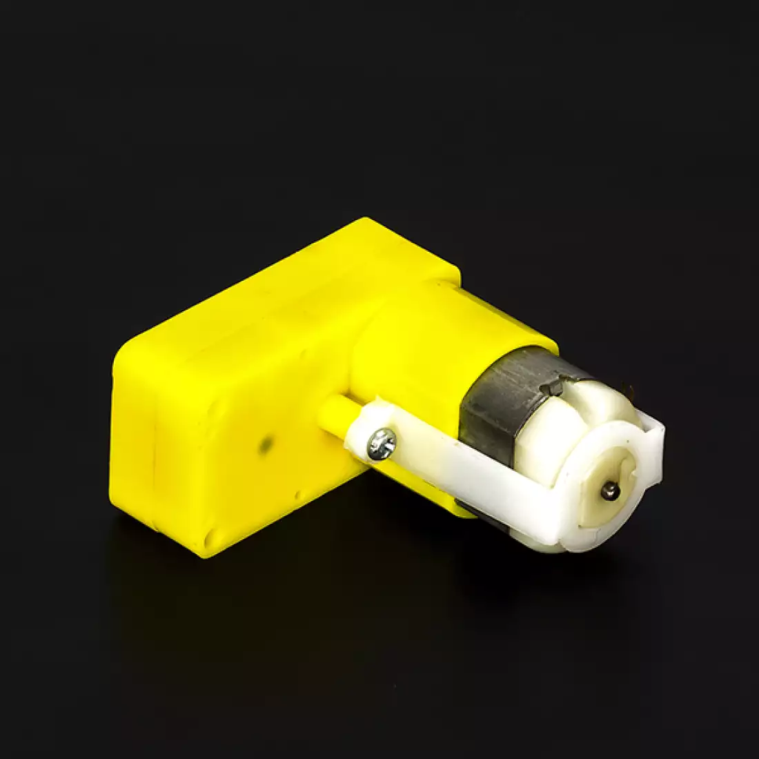 BO Motor Dual Shaft
