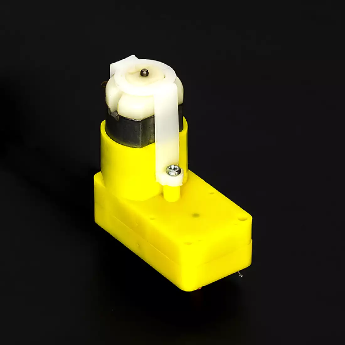 BO Motor Dual Shaft